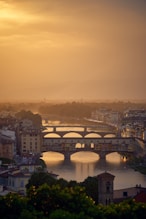 aerial photography of building and bridge