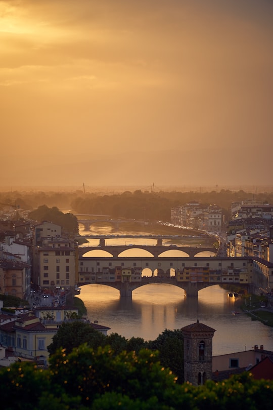 aerial photography of building and bridge in Ponte Vecchio Italy