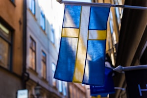 Därför lyfts Sverige fram som förebild - trots att vi har fler dödsfall än många andra länder