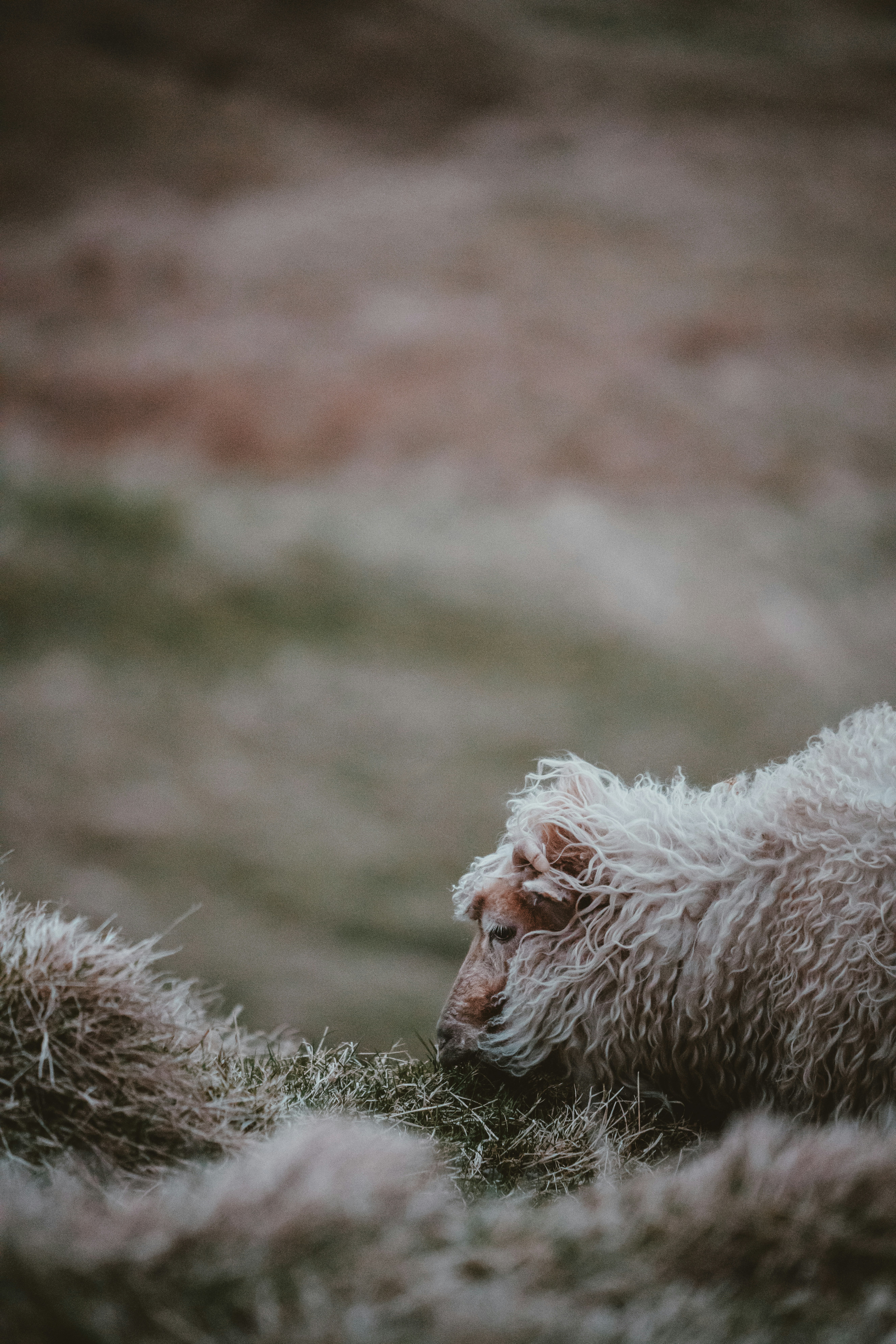 Photo by anniespratt