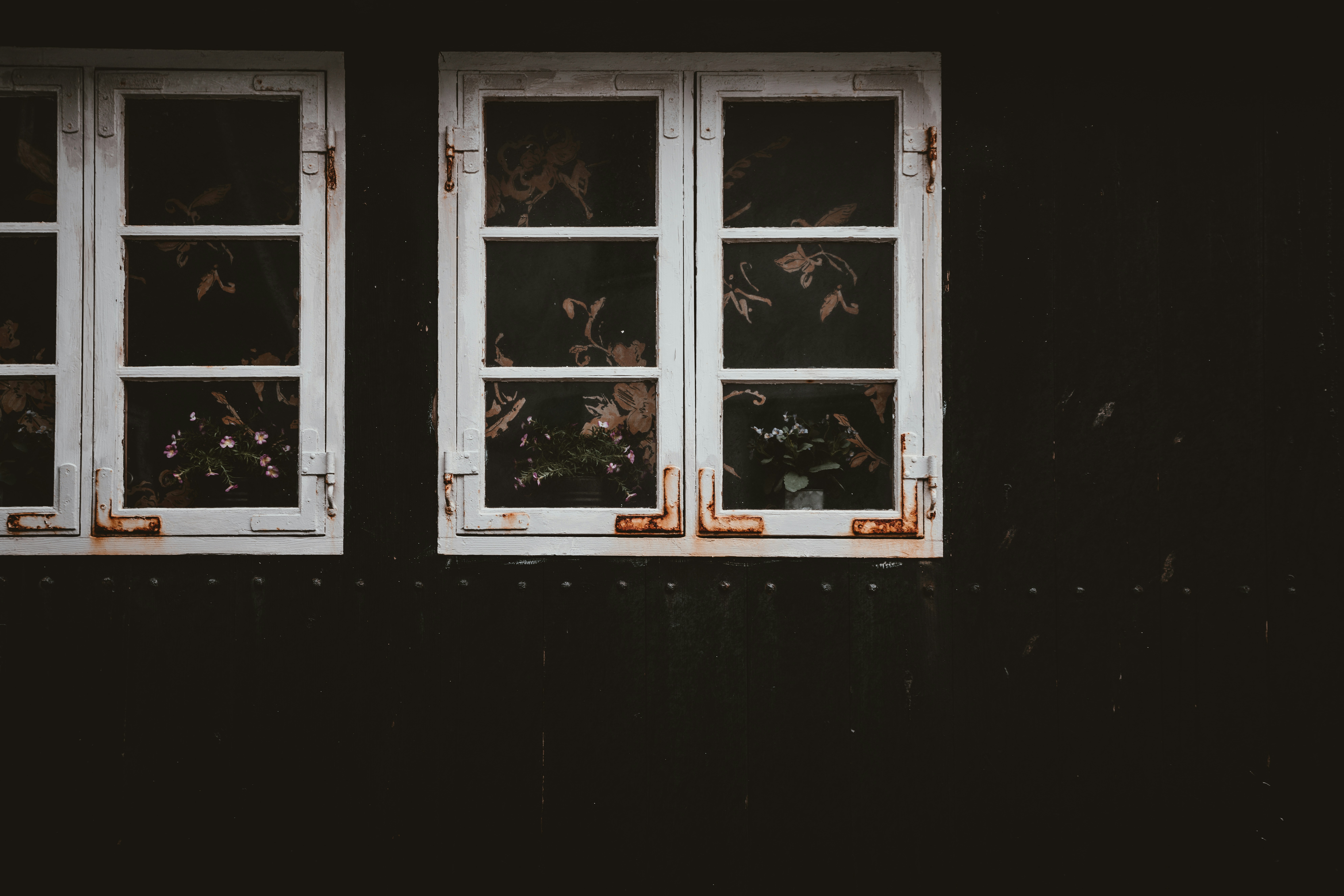https://images.unsplash.com/photo-1527159666074-d7a032ac67ad?ixid=M3w2MjYzNjJ8MHwxfHNlYXJjaHwxfHxSdXN0eSUyMFRhY298ZW58MHwwfHx8MTcyMjQ1MDgwMHww&ixlib=rb-4.0.3