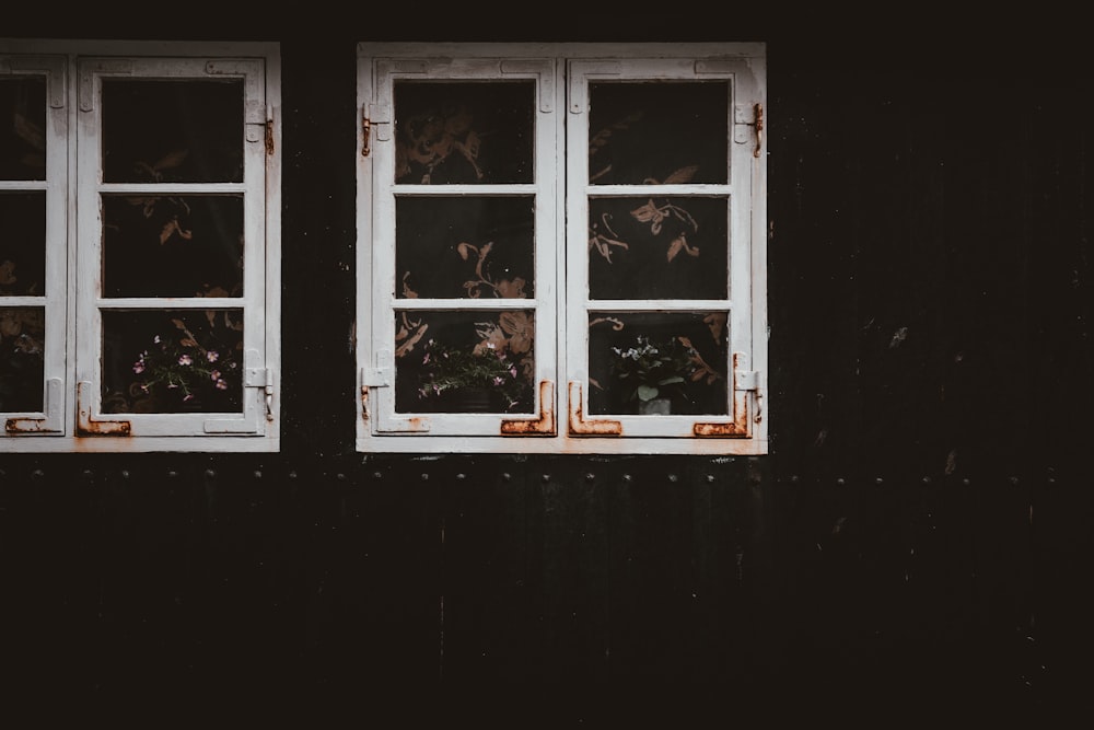 a black wall with two windows and a bird flying by