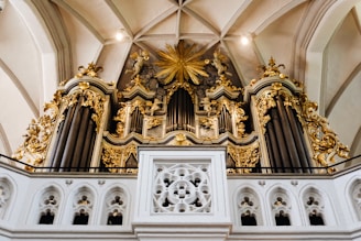 An ornate pipe organ with intricate golden details and decorative elements is set against a background of a vaulted ceiling. The structure features multiple tall pipes, embellished carvings, and a large golden starburst design in the center.