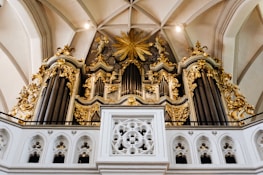 An ornate pipe organ with intricate golden details and decorative elements is set against a background of a vaulted ceiling. The structure features multiple tall pipes, embellished carvings, and a large golden starburst design in the center.
