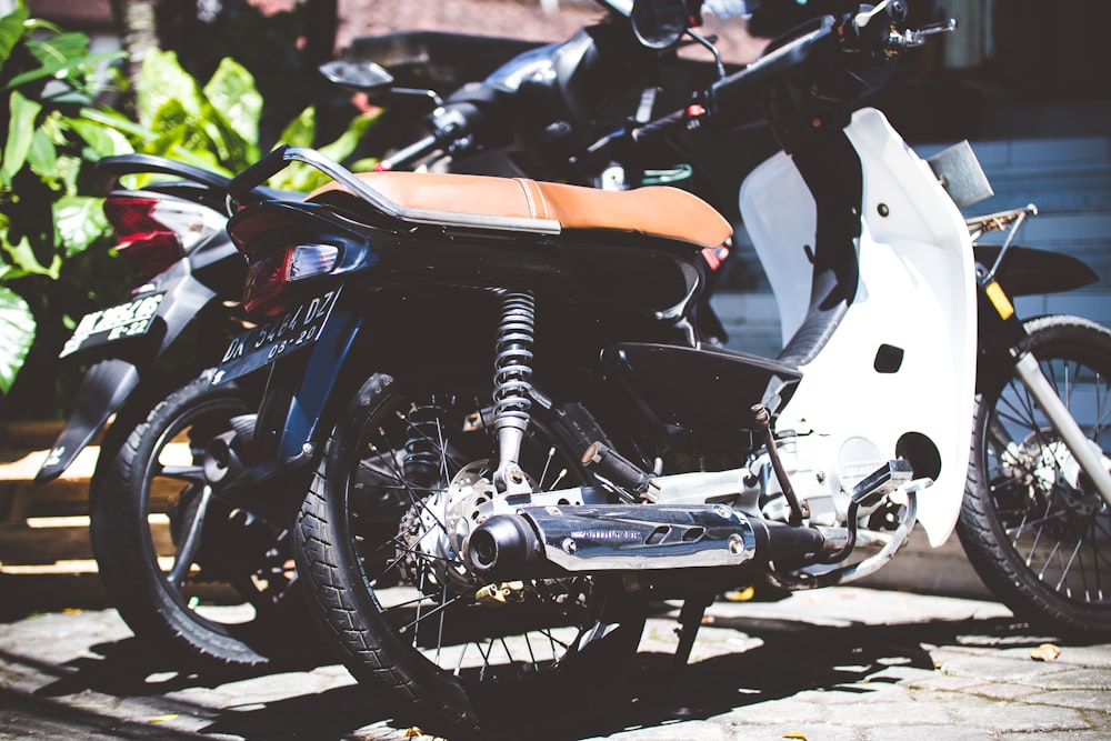 two white and black underbone motorcycles parked on ground near plant at daytime