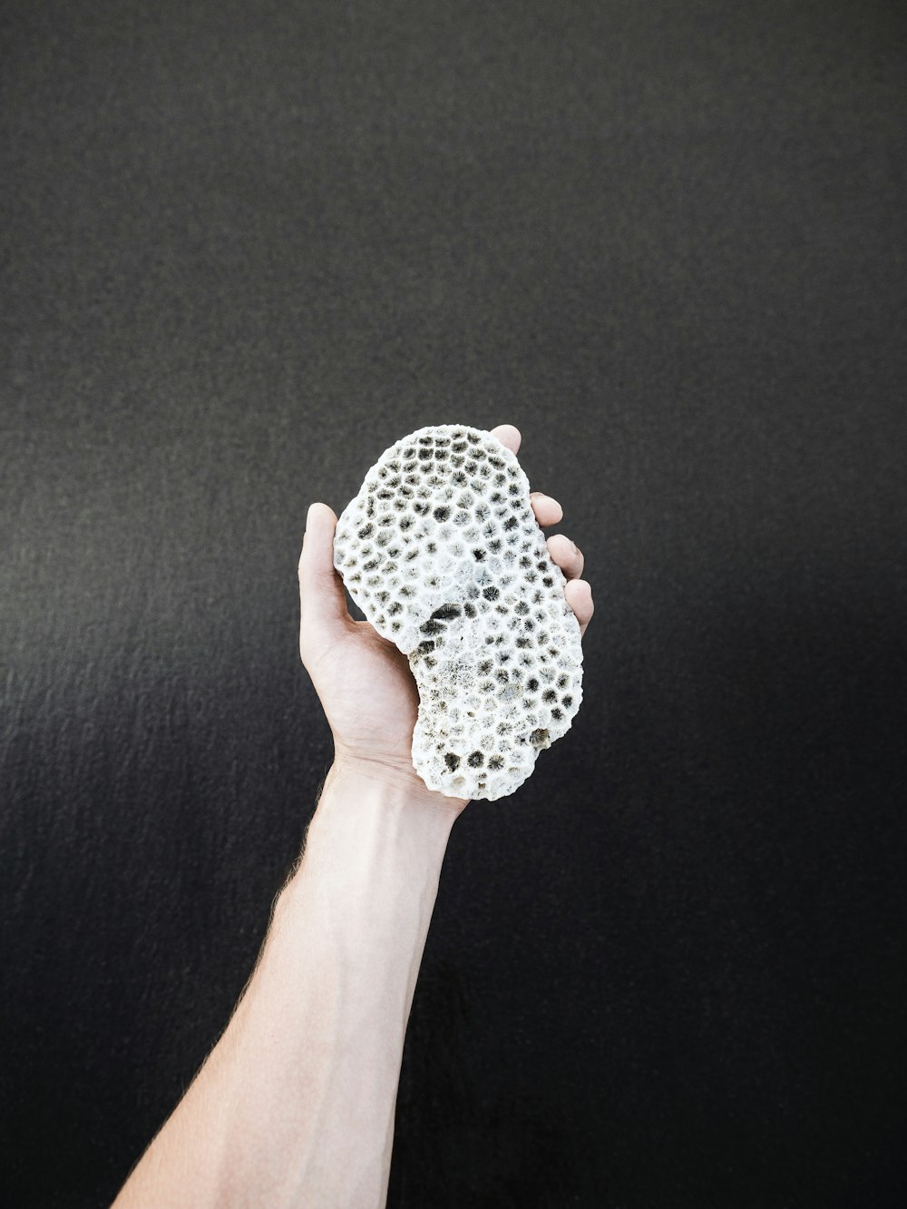 person's hand holding white stone
