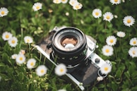 A serene outdoor scene capturing a vintage camera resting on a picnic blanket surrounded by wildflowers.