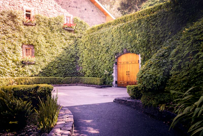 Charming garden courtyard framed by historic brownstones.