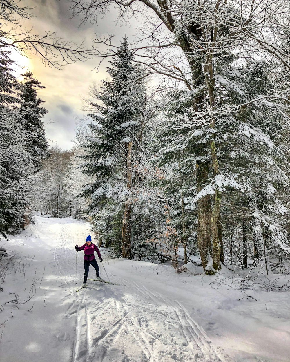 昼間、白い雲の下、木の近くでスキーをする人