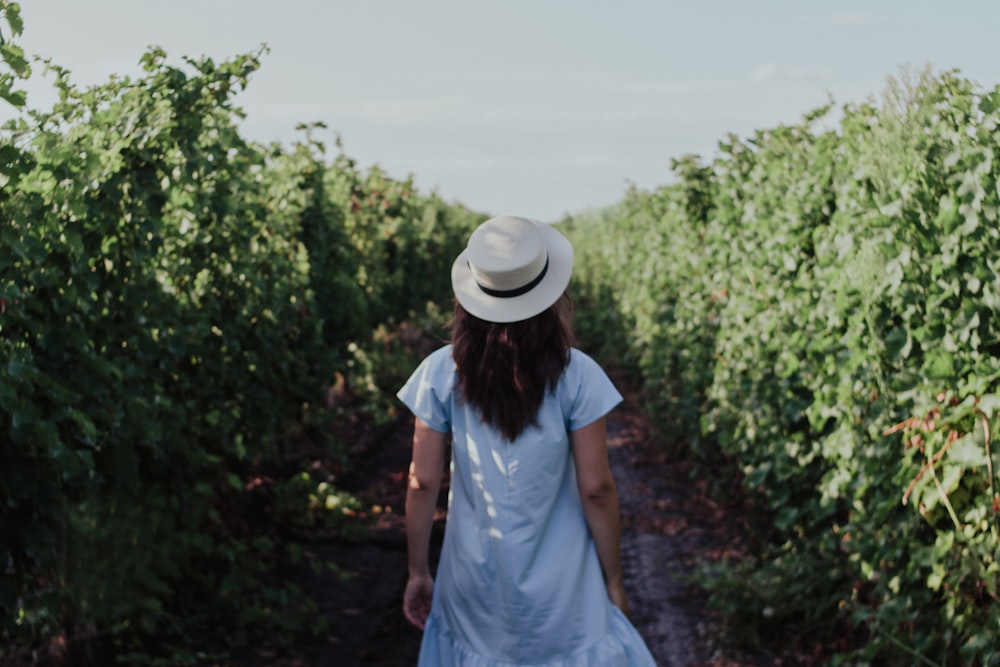 Mujer con vestido azul de manga corta y sombrero blanco de pie entre plantas de hojas verdes durante el día