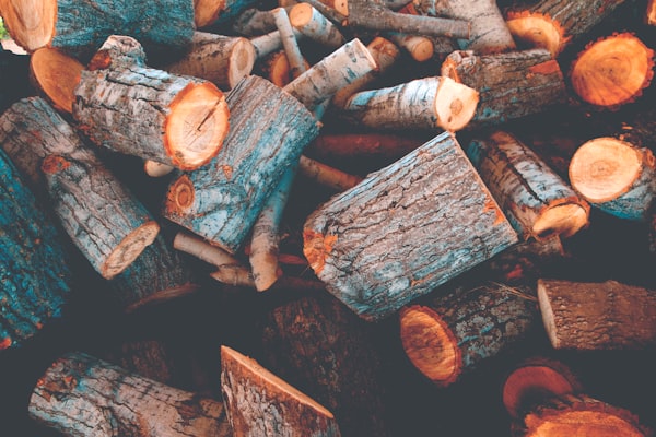 Pile of tree logs