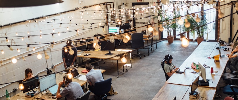 people sitting in front of computer monitors