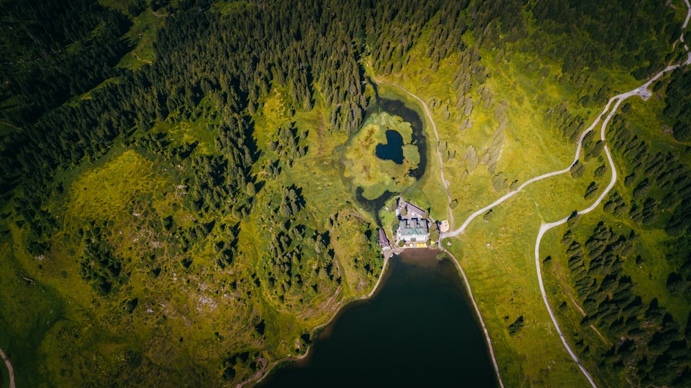 Foto aérea del bosque