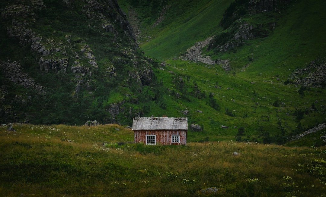 brown and white cabin on grass field beside green mountain, Time