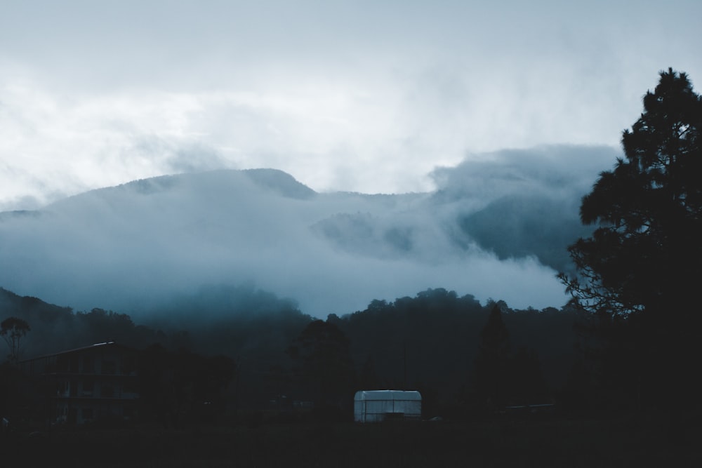 mountain covered with fog during daytime