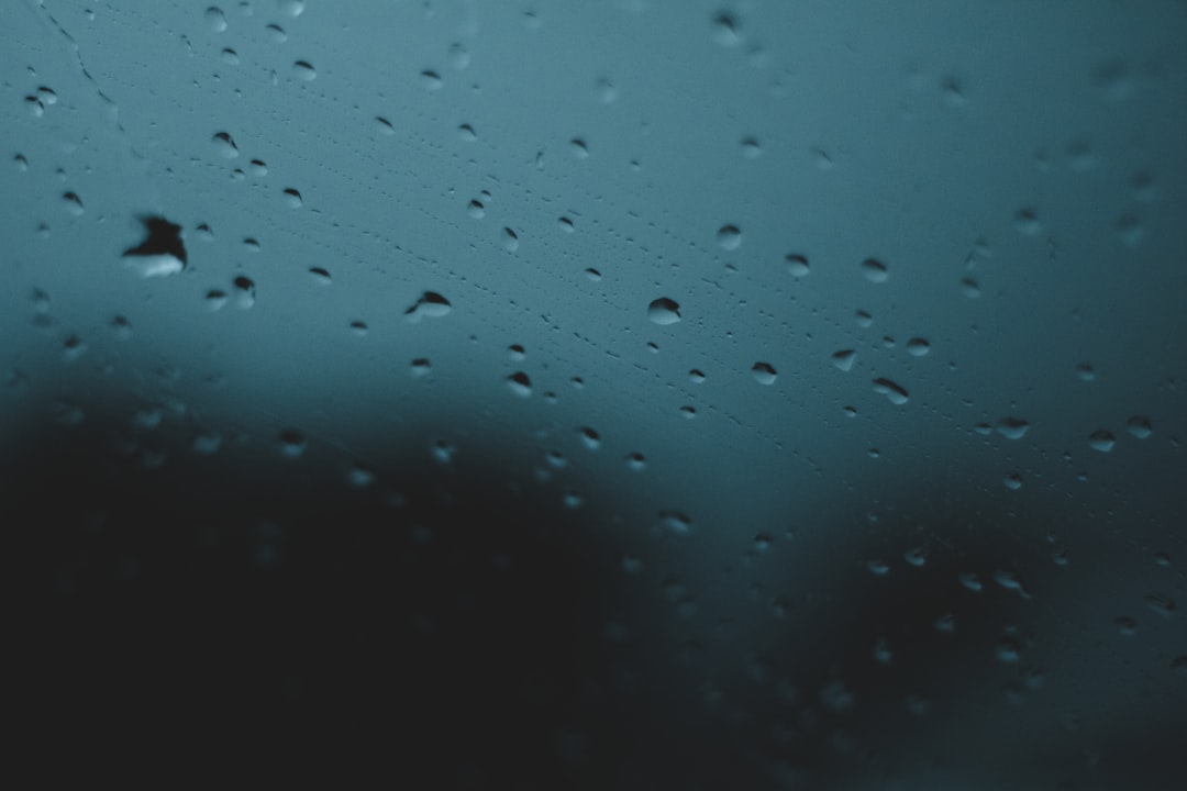 closeup photo of water dew