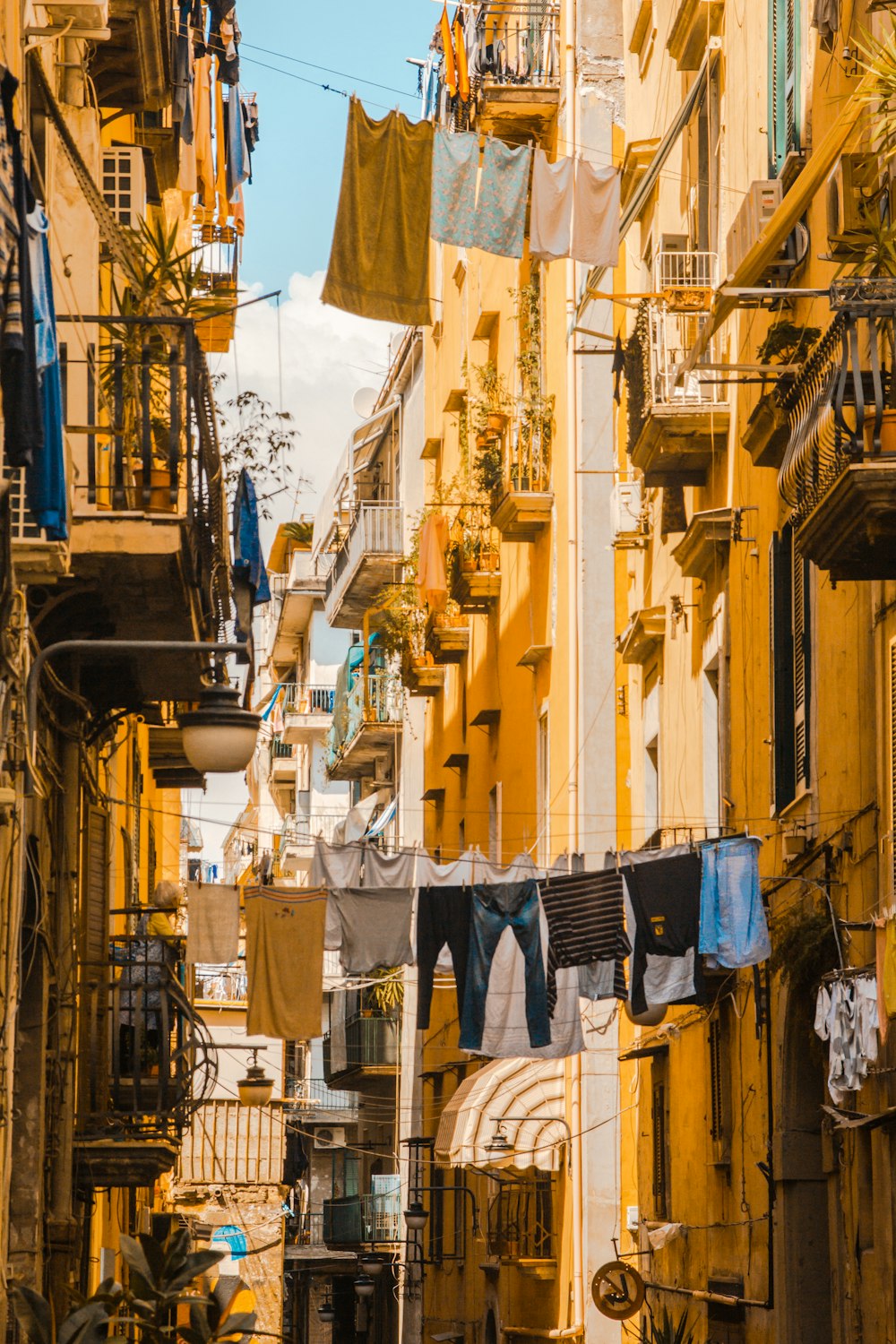 clothes hanged on clothesline