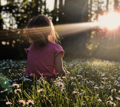 girl sitting on daisy flowerbed in forest