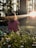 girl sitting on daisy flowerbed in forest