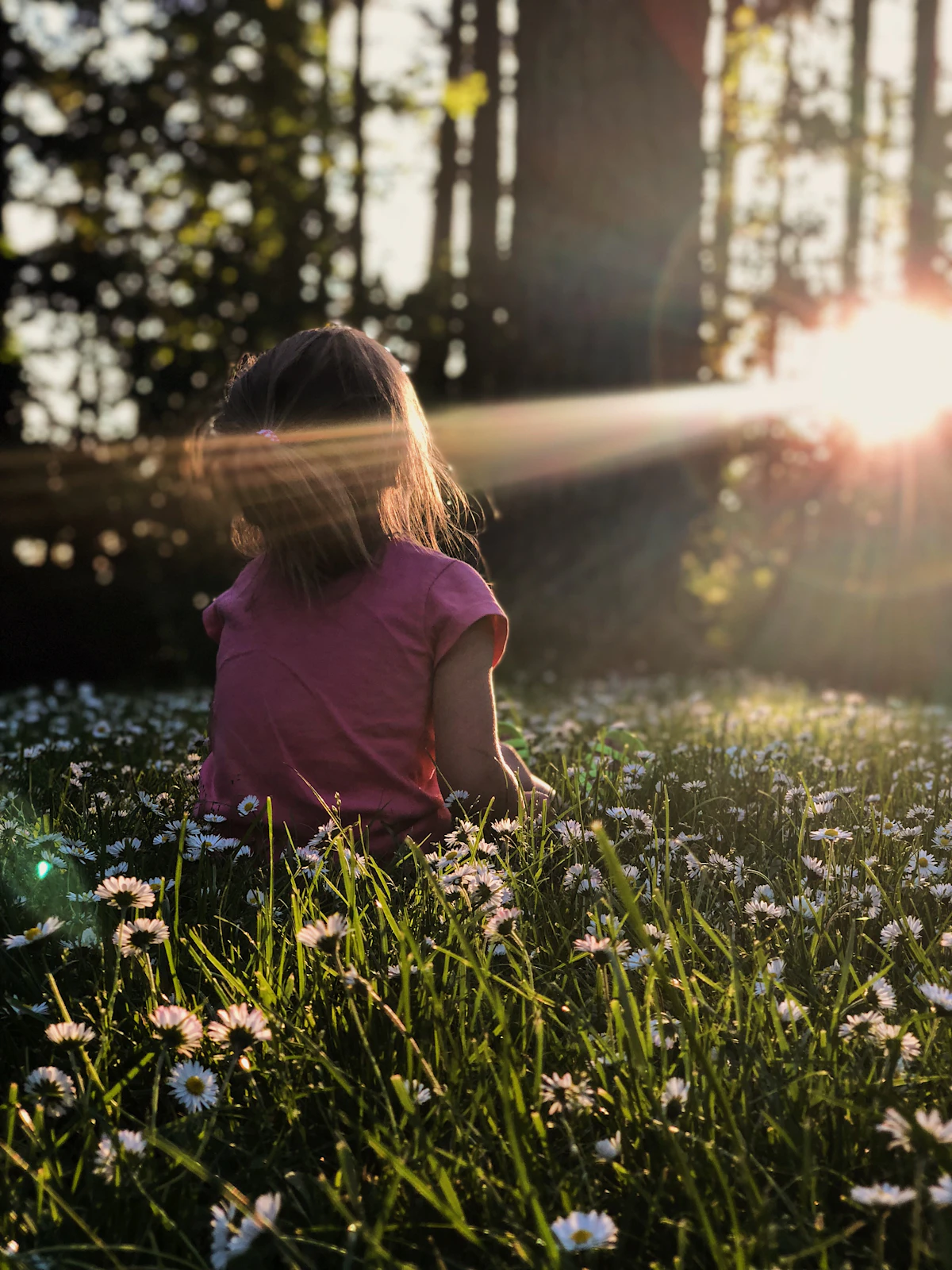 A young girl sitting in a forest daisy flowerbed