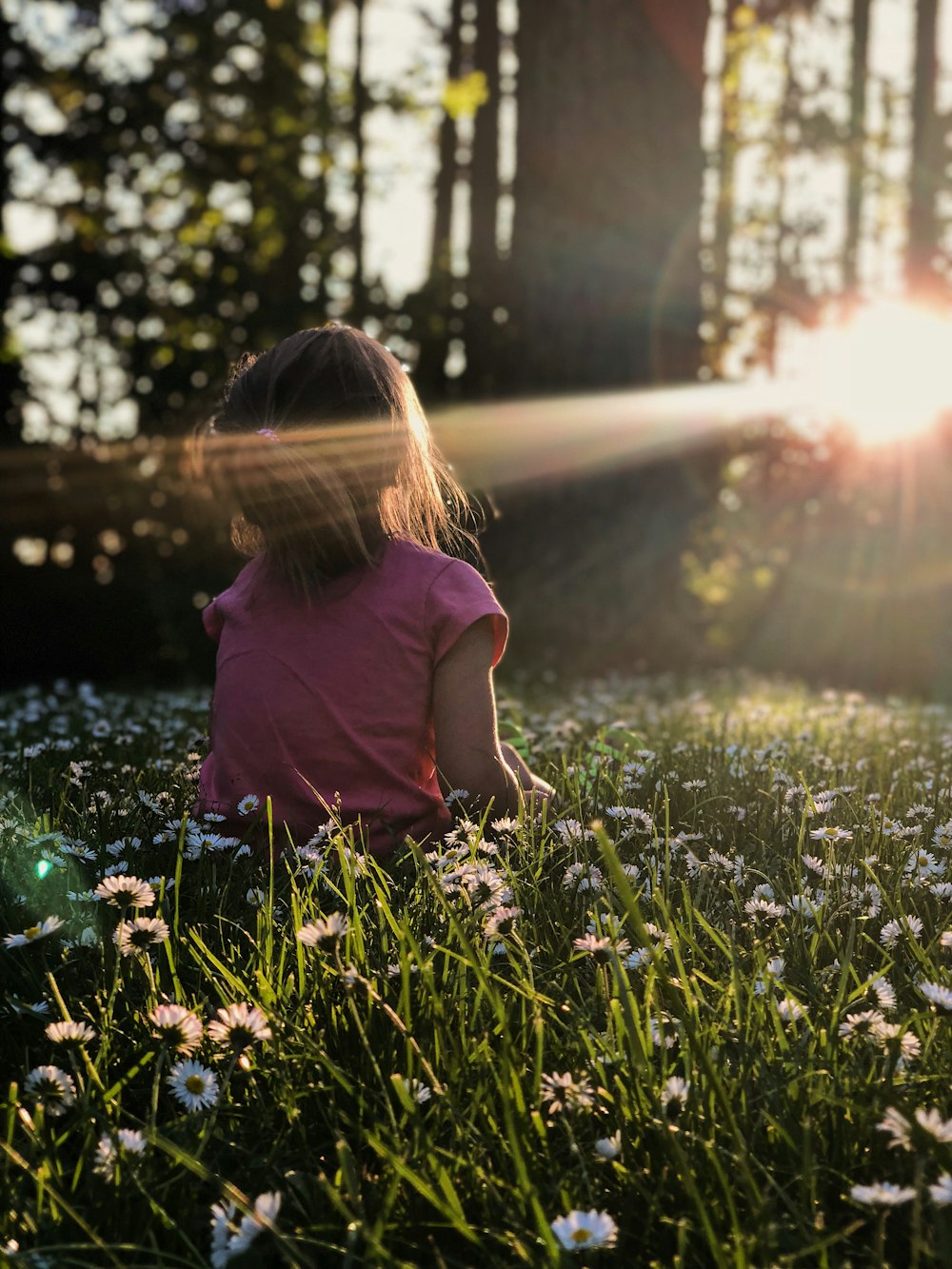 niña sentada en un macizo de flores de margarita en el bosque