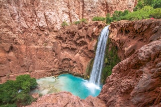 photo of waterfalls in forest during daytime