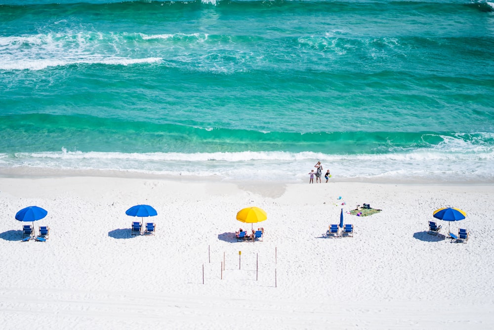 blue and yellow umbrellas on seashore