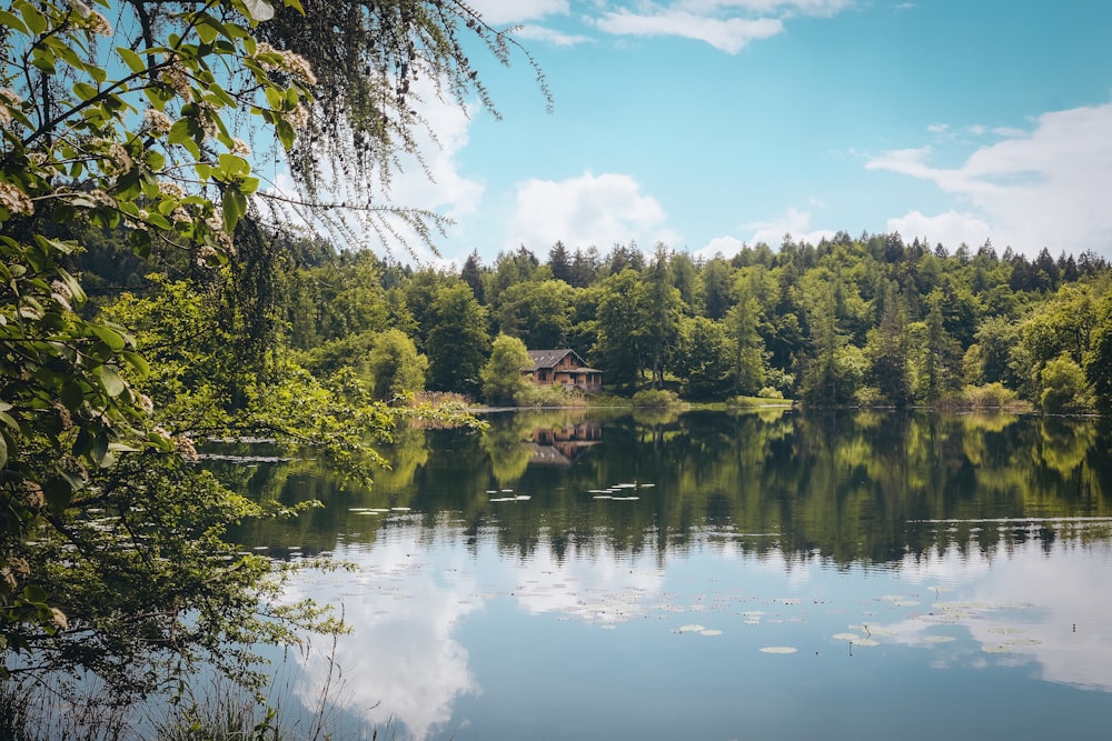 mirror photography of trees and house