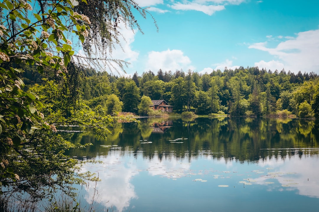 Nature reserve photo spot Lago di Cei Karersee