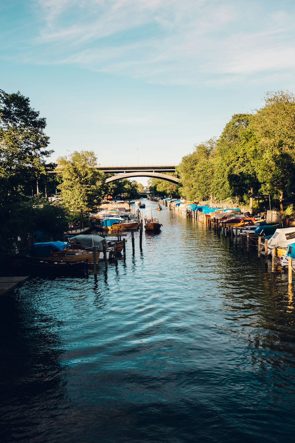 日中の橋や木々の近くの運河でのボート