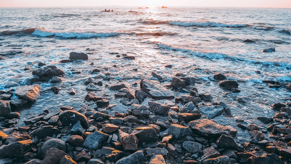 Foto eines Gewässers, das auf braune Felsen trifft