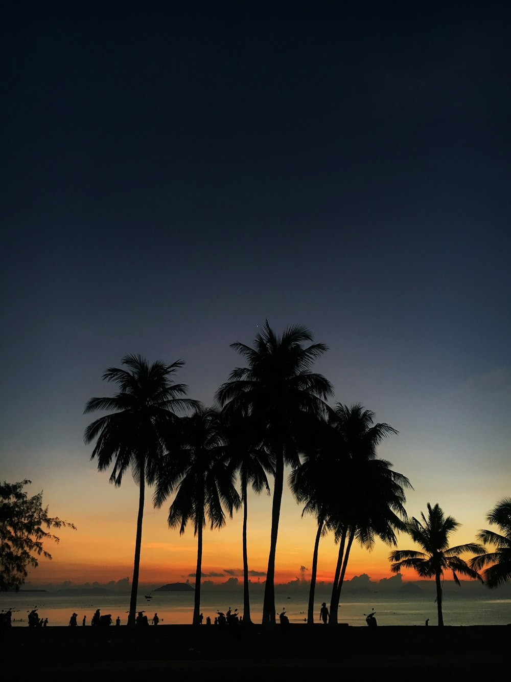 foto di silhouette di alberi di cocco durante l'ora d'oro