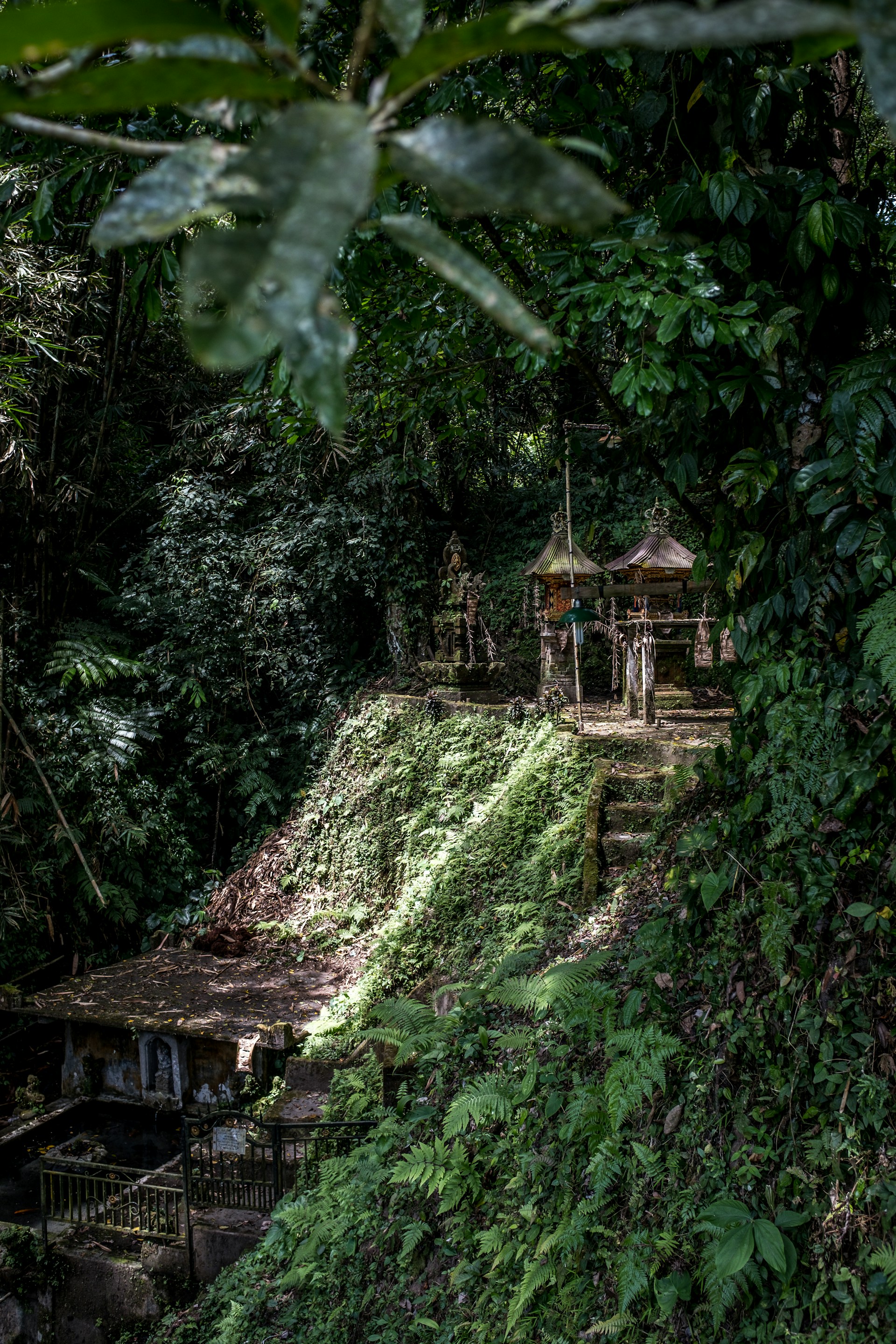 gazebo beside trees and grasses