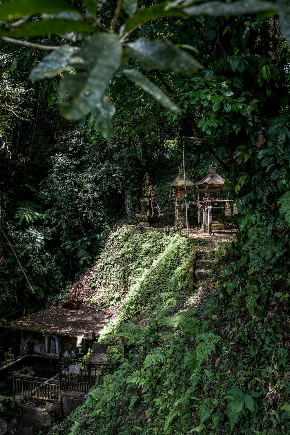 gazebo beside trees and grasses