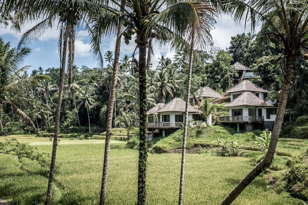 Top 7 Underexplored Southeast Asian Destinations Rivaling Thailand'… — Top 7 Underexplored Southe…, photo 2