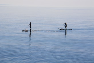 people ridding paddleboard on body of water