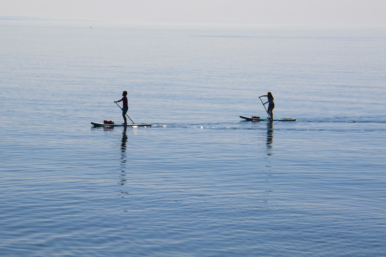 Stand-Up Paddleboard Rental