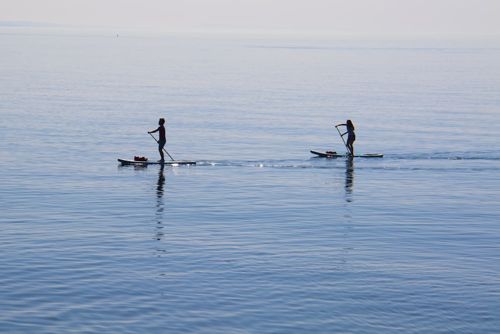 people ridding paddleboard on body of water