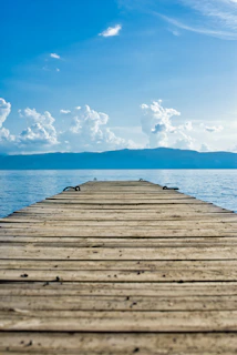 brown wooden dock on body of water