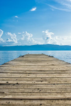 brown wooden dock on body of water
