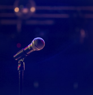 black and gray microphone on black stand