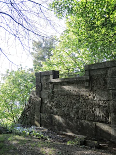 A clean garden wall with no bird droppings, bathed in warm sunlight