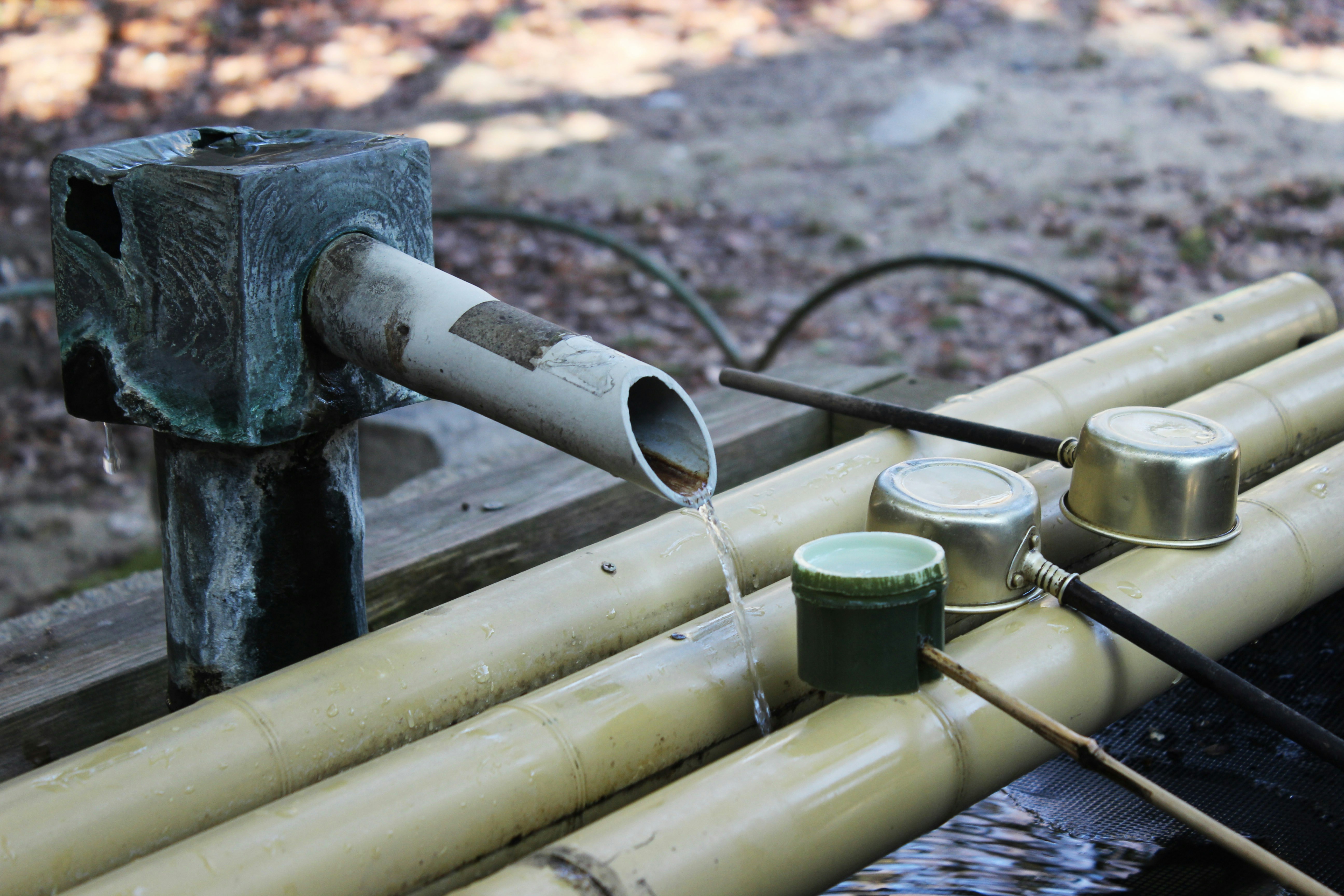 photo 1527263311204 755572035c82?ixlib=rb 4.0