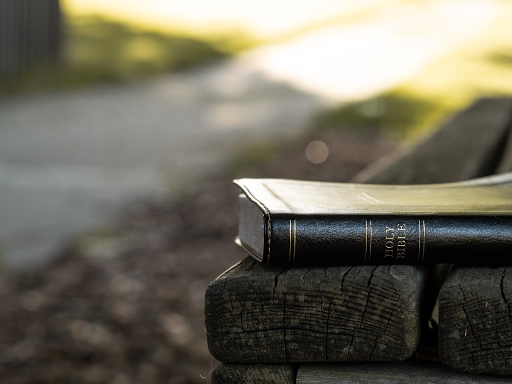 Holy Bible on black wooden bench