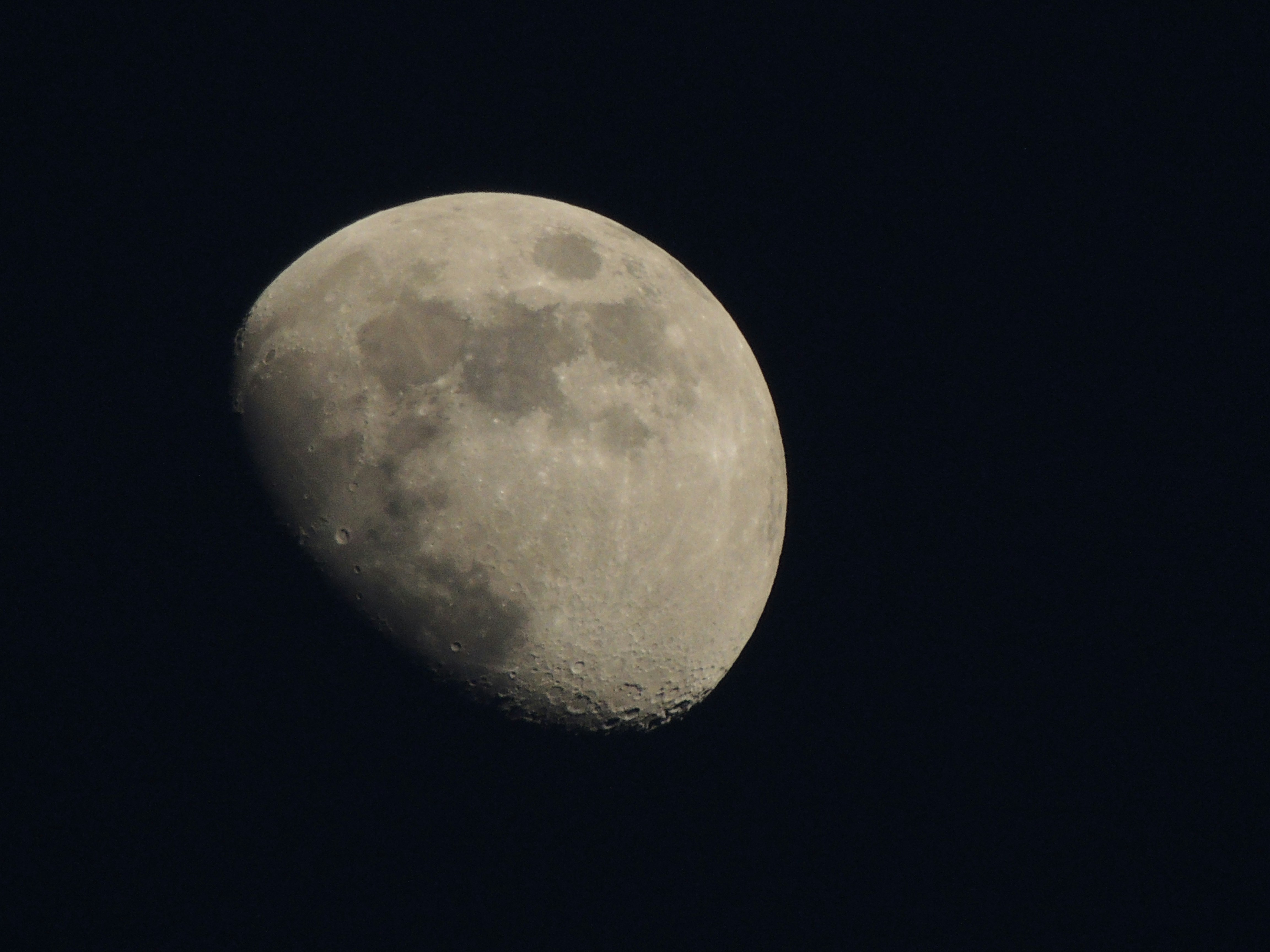 photo-1527269947438-e067cc56b7f3?ixlib=rb-1.2.1&ixid=eyJhcHBfaWQiOjEyMDd9&auto=format&fit=crop&w=1334&q=80