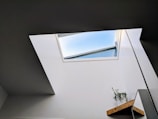 photo of white wall paint