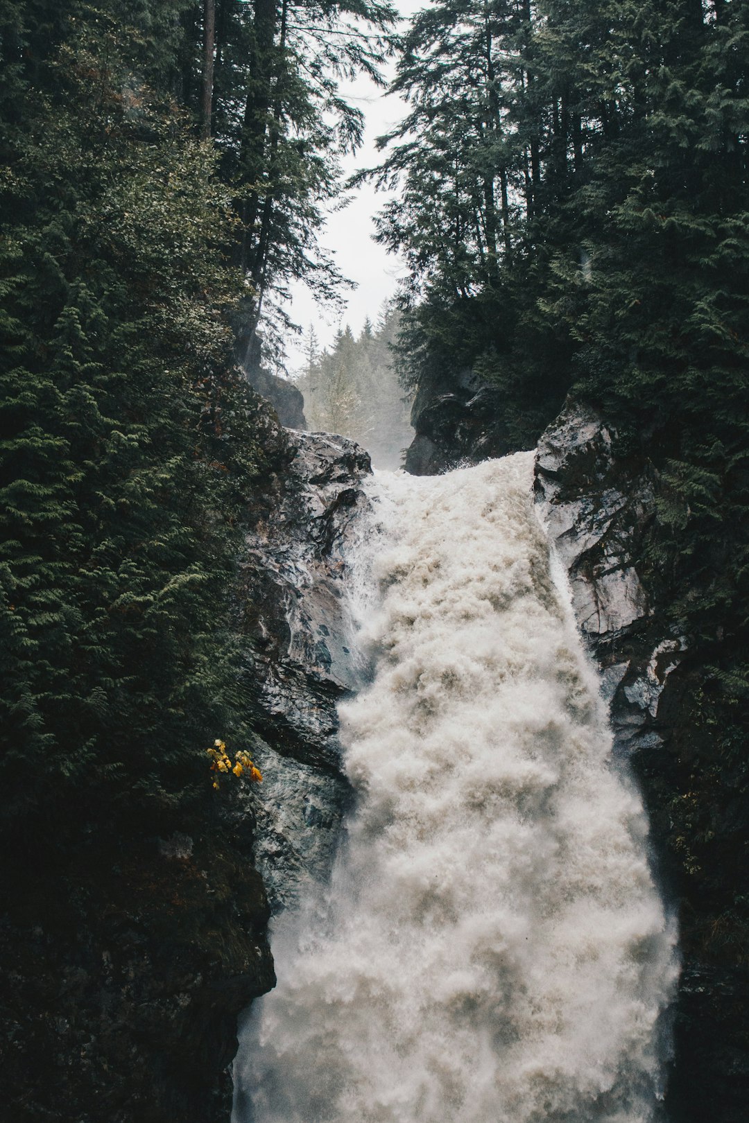 Waterfall photo spot Cascade Falls Trail Shannon Falls