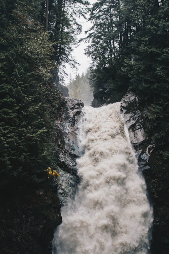 waterfalls in between green leafed trees in Cascade Falls Trail Canada