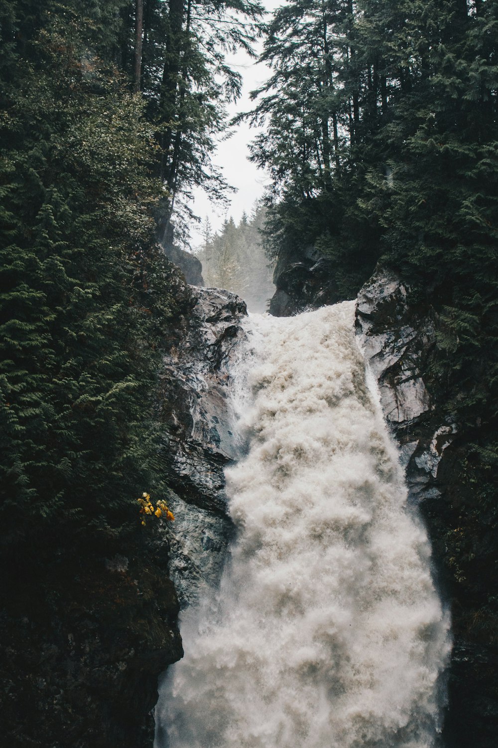 waterfalls in between green leafed trees