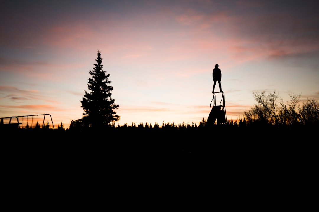 silhouette of person standing on slide during sunset